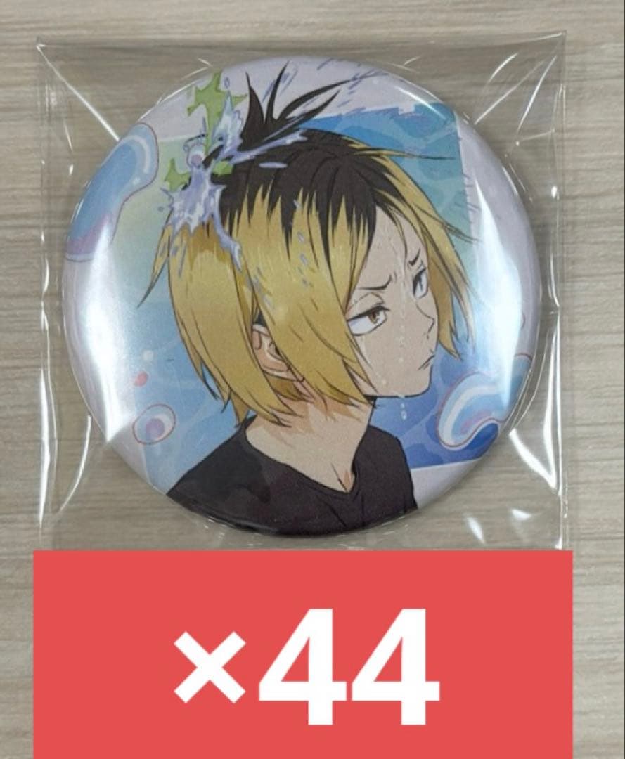 ハイキュー TO THE TOP 水遊び 缶バッジ