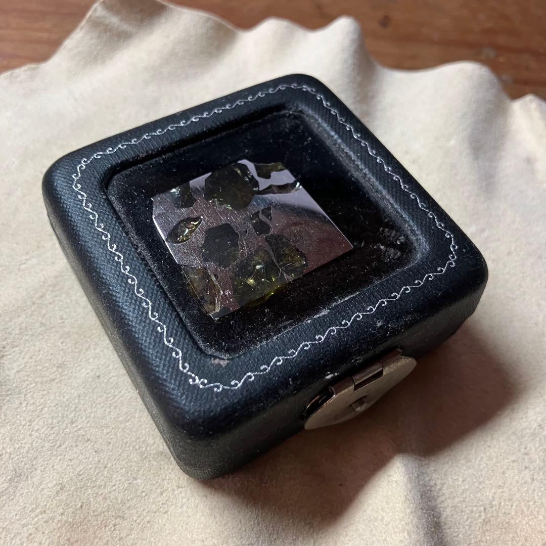 エスケル　隕石　ESQUEL パラサイト