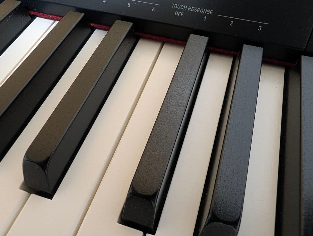 CASIO88鍵盤 電子ピアノ Privia PX-160BK ソリッドブラック