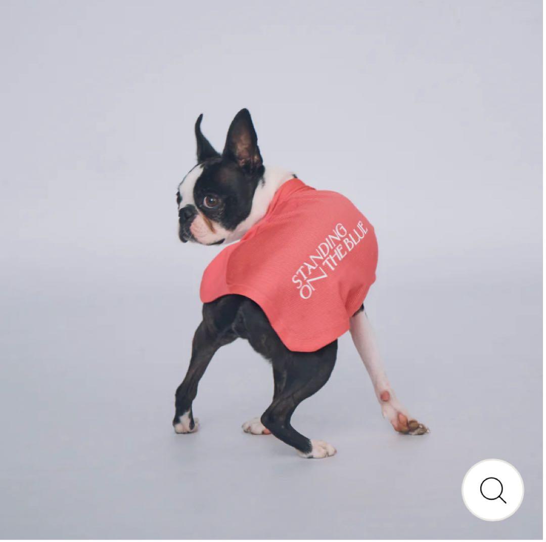 スタンディングオンザブルー　大型犬　犬服　タンクトップ