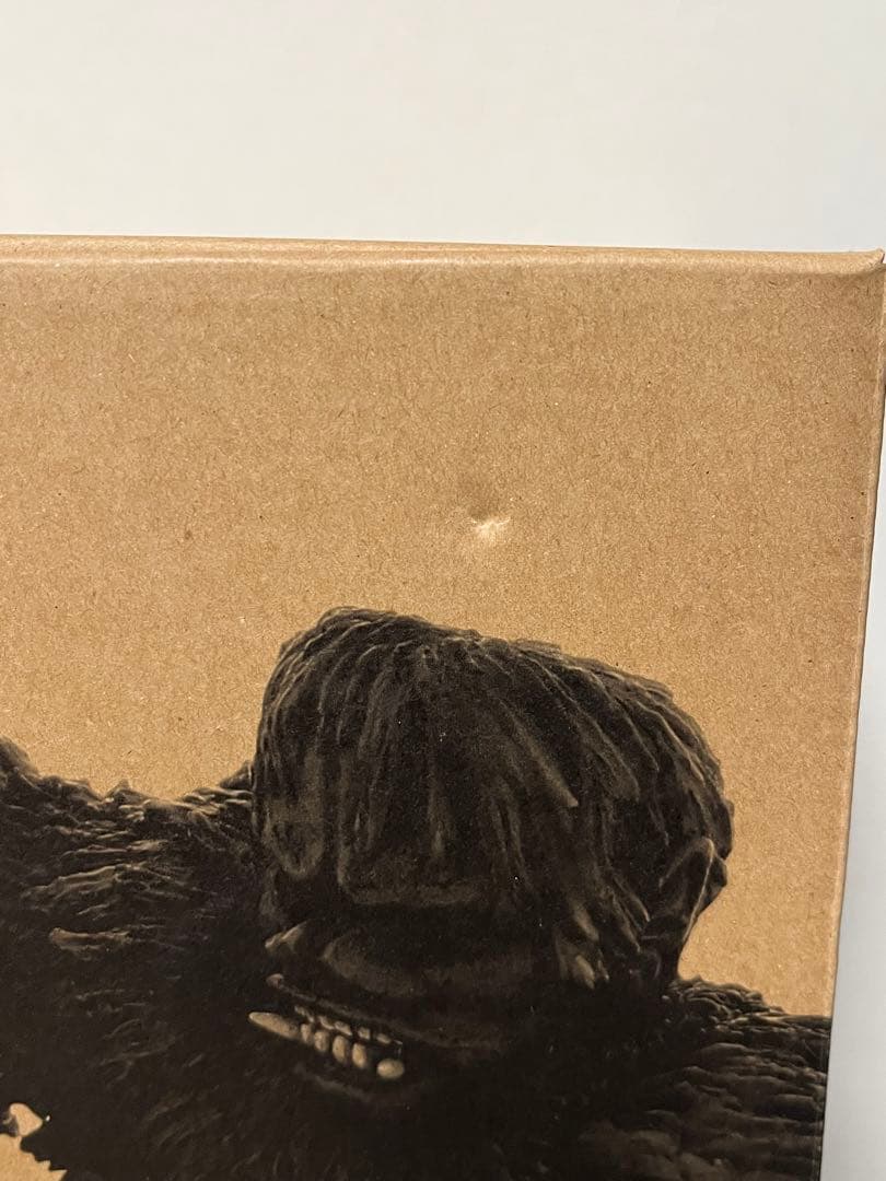 東宝大怪獣シリーズ フランケンシュタインの怪獣 サンダ対ガイラ 少年リック限定版