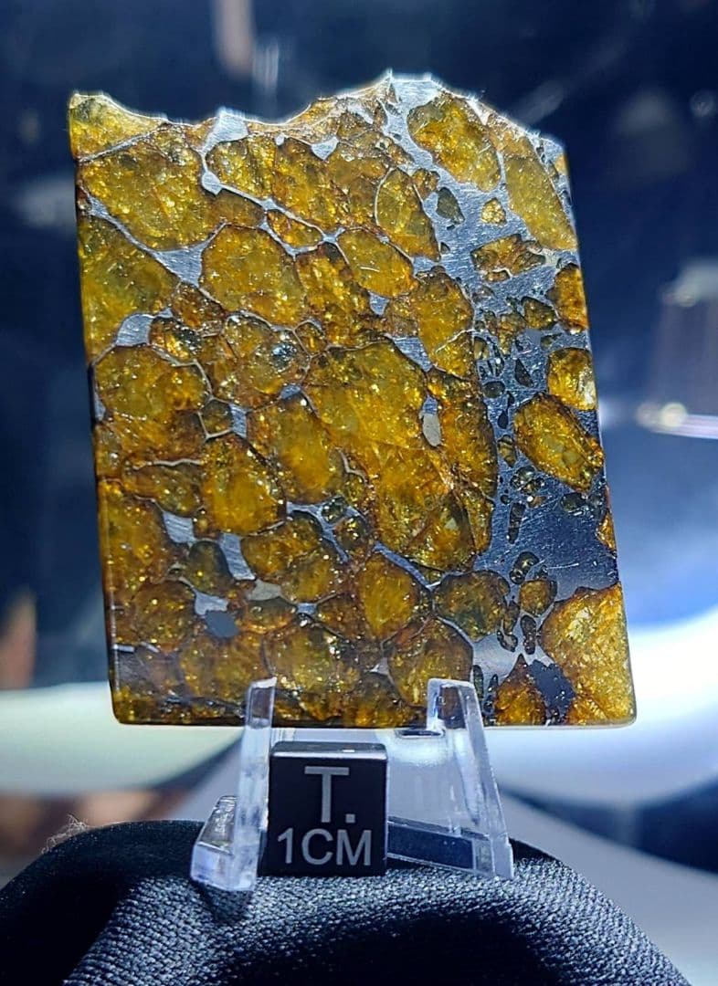 30.2g イミラック パラサイト 隕石 Imilac ⭐⭐