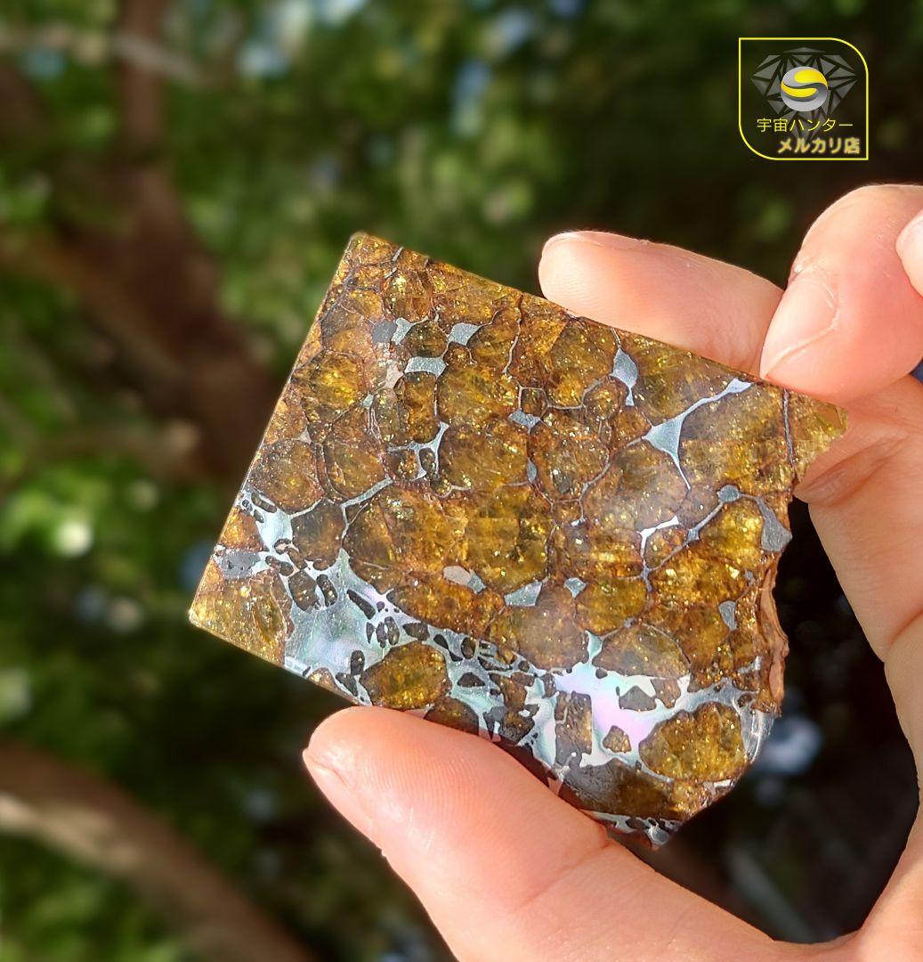 30.2g イミラック パラサイト 隕石 Imilac ⭐⭐