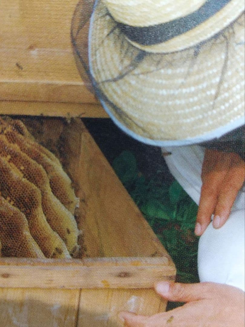 専用に成ります希少！純国産はちみつ鹿児島県南薩摩養蜂園蜂蜜計1kg甑島・喜界島・