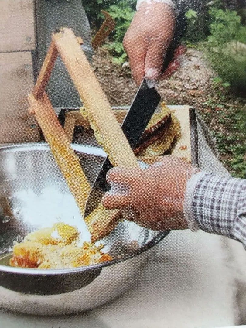 専用に成ります希少！純国産はちみつ鹿児島県南薩摩養蜂園蜂蜜計1kg甑島・喜界島・