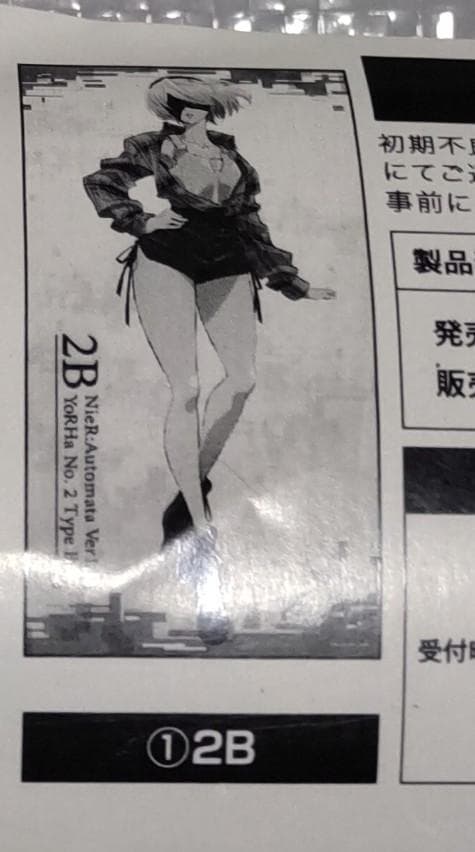 ニーアオートマタ 描き下ろし等身大タペストリー 2B