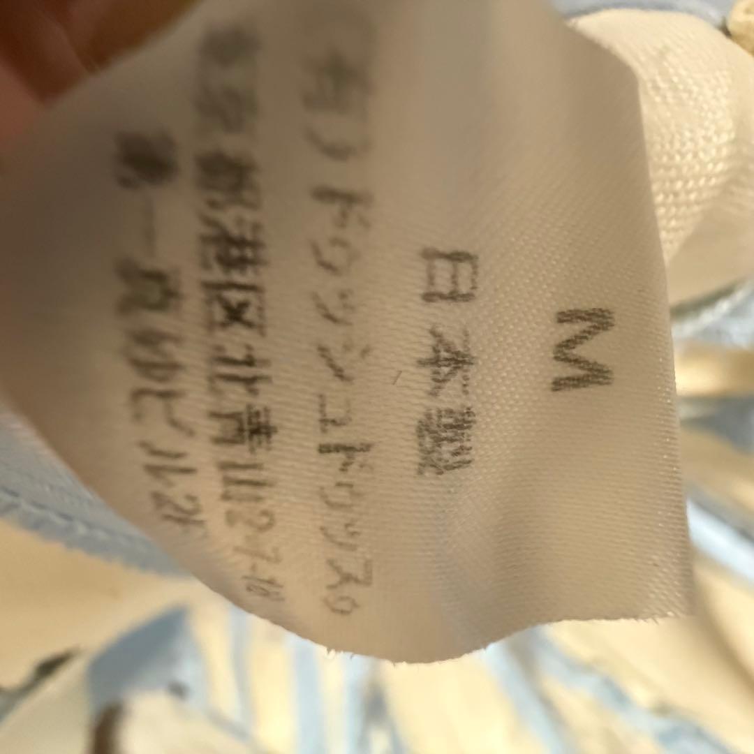 【大人用バレエ衣装】ドゥッシュドゥッスゥ ロマンチックチュチュ