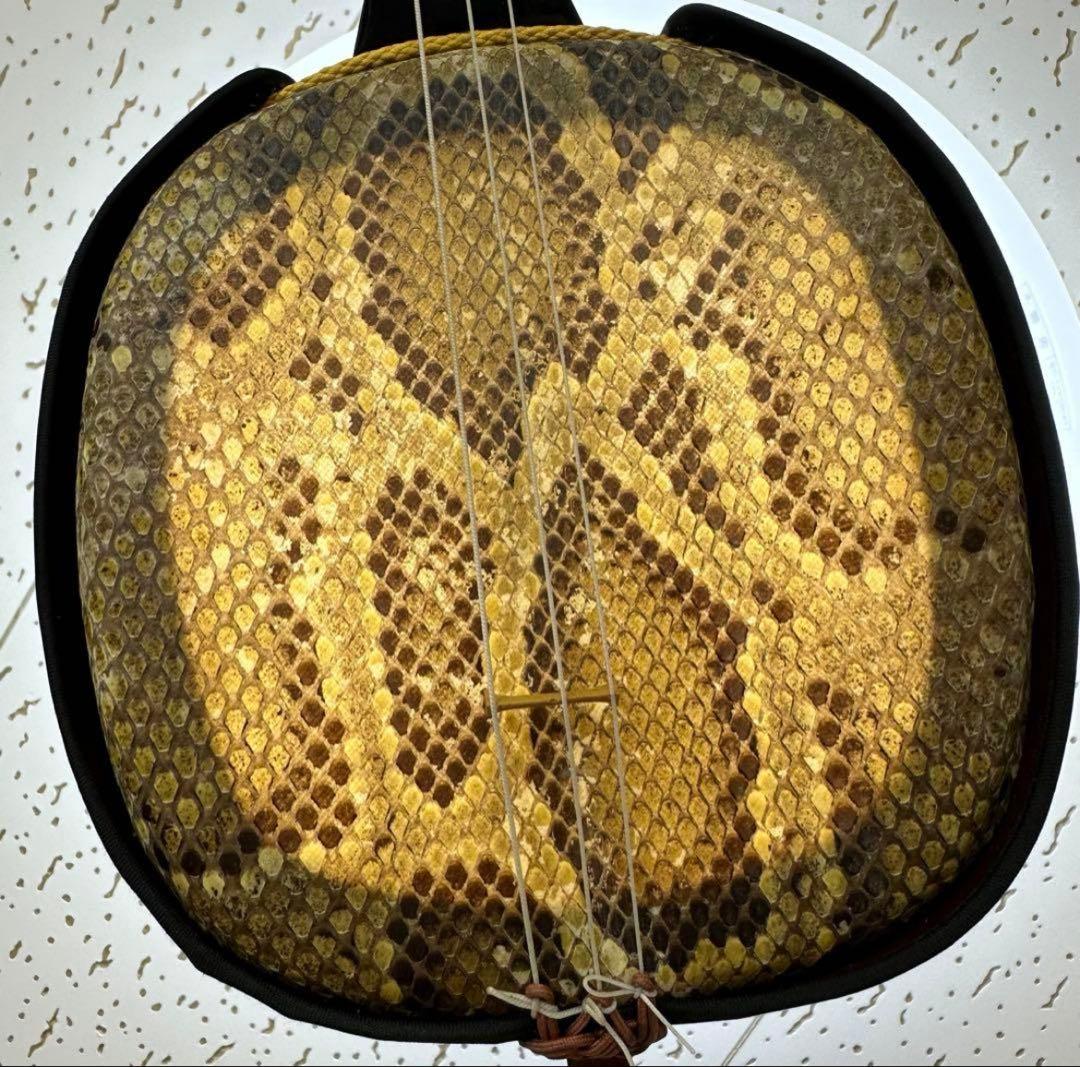 本日限定価格　沖縄三線　黒塗り　天然　蛇皮　ハードケース　和楽器