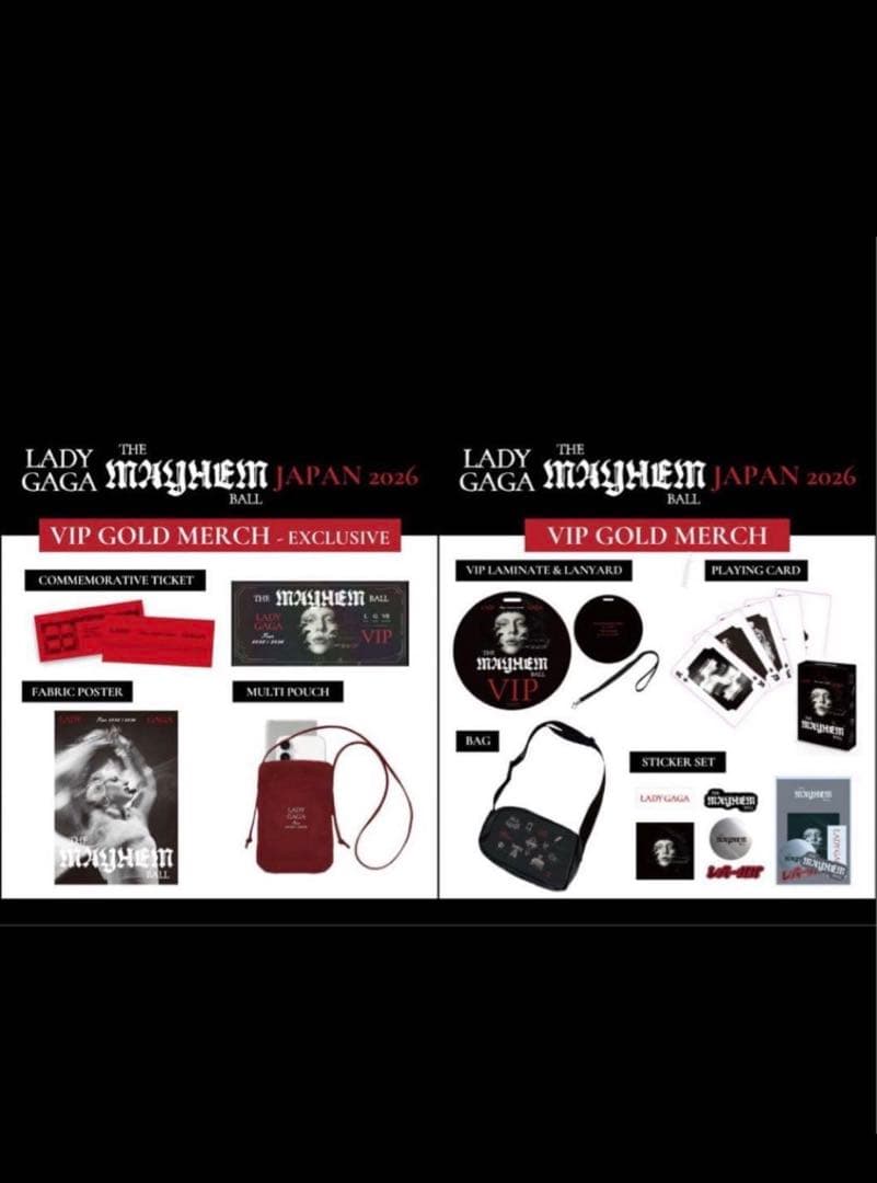 LADY GAGA VIP GOLD グッズ フルセット