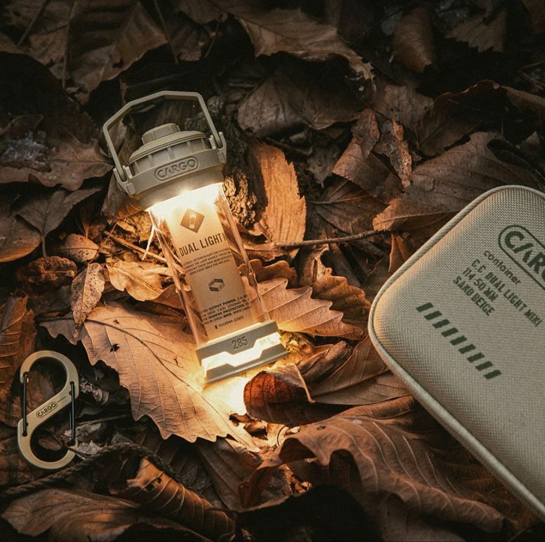 新品‼️CARGO✨DUAL LIGHT MINI✨２個セット　ゴールゼロ