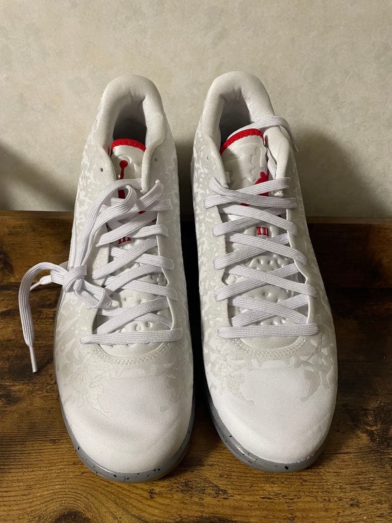 【新品・未使用】NIKE JORDAN ZION 3 PF バッシュ 迷彩　白