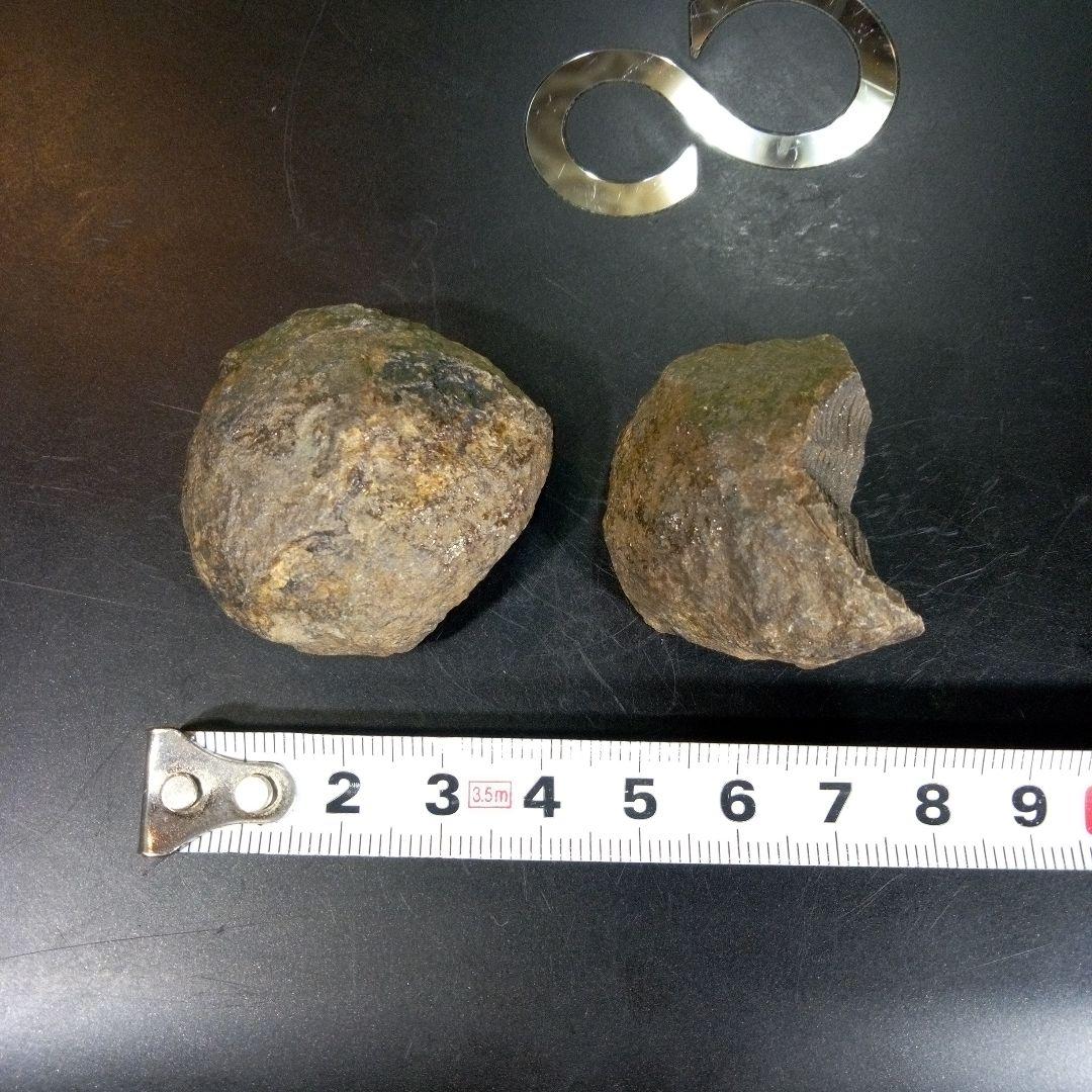 三葉虫　化石　fossil　ボリビア産　trilobite　ノジュール管理④