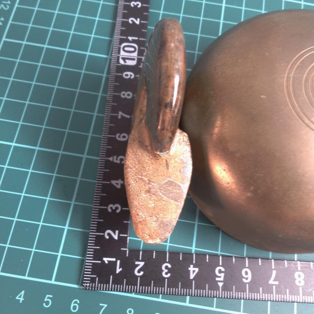 小物１ アンモナイト化石 赤褐色