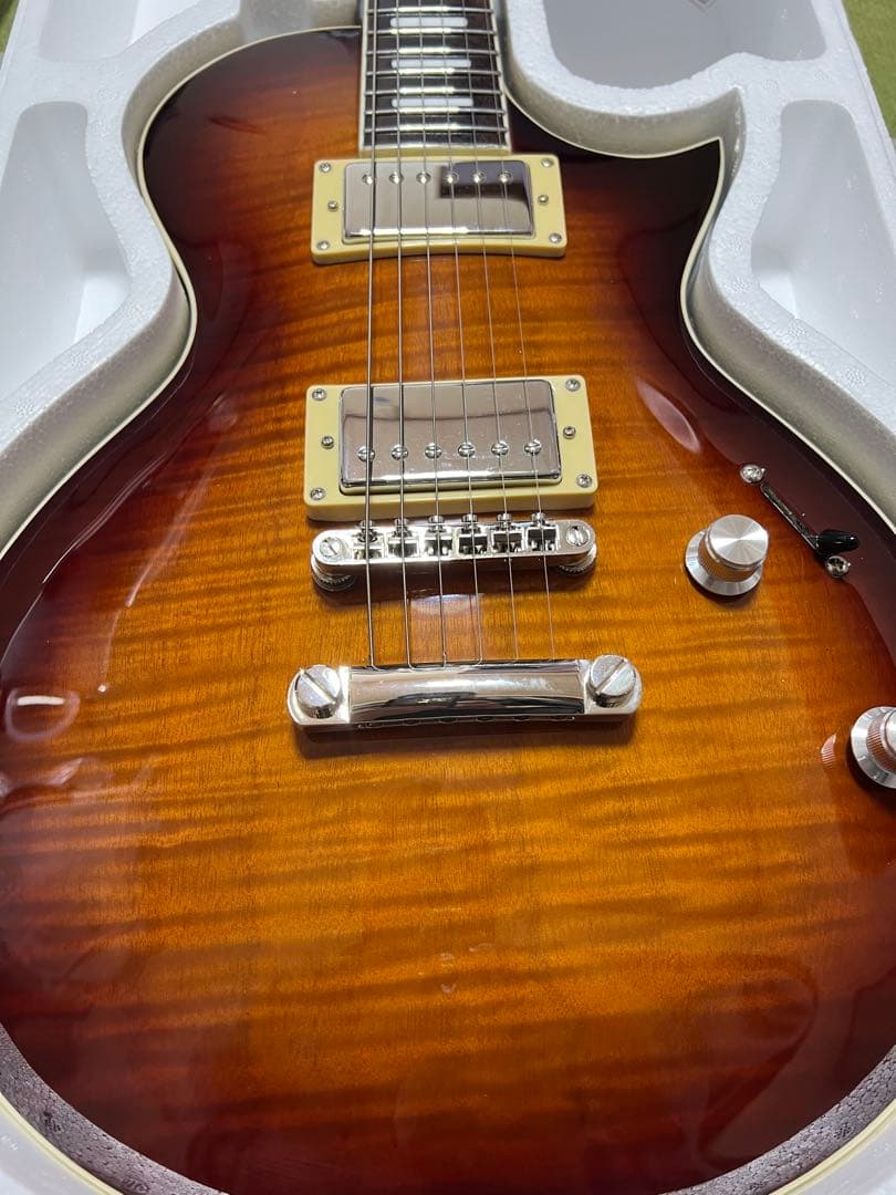 EART EGLP-620 ステンレスフレット