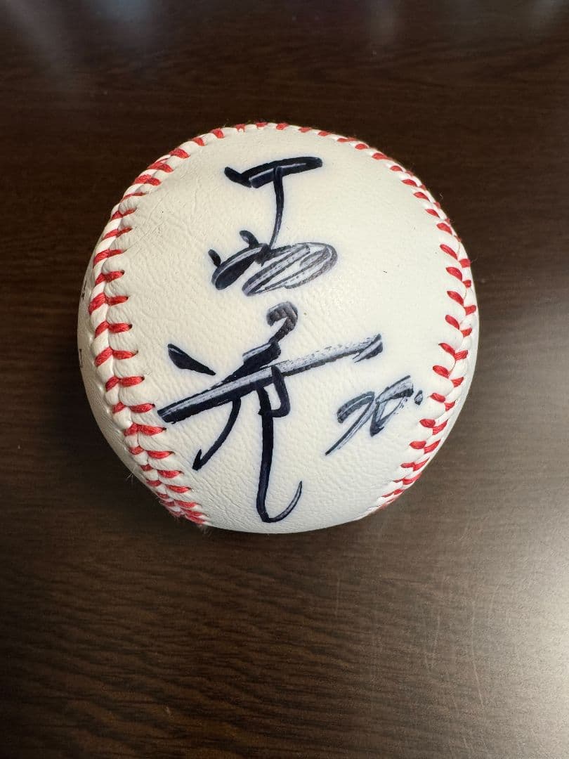 【希少】横浜DeNAベイスターズ 2014年開幕スタメンサイン入りボールセット