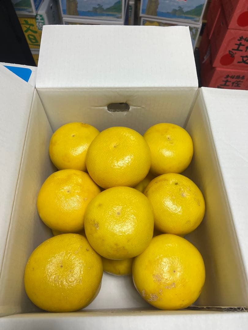 文旦　山北みかん　ポンカン　好きにも　01