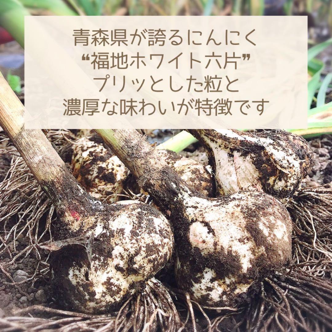 ★むきにんにく★ 2025年産　青森県田子町産にんにく3kg