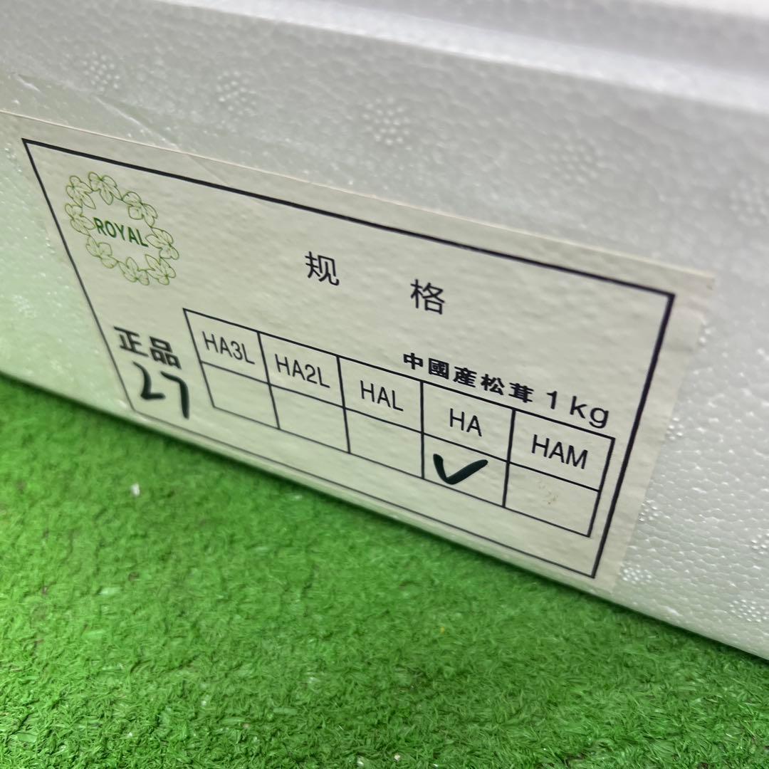 超新鮮な中国産松茸 つぼみ 27本入り　約1キロ