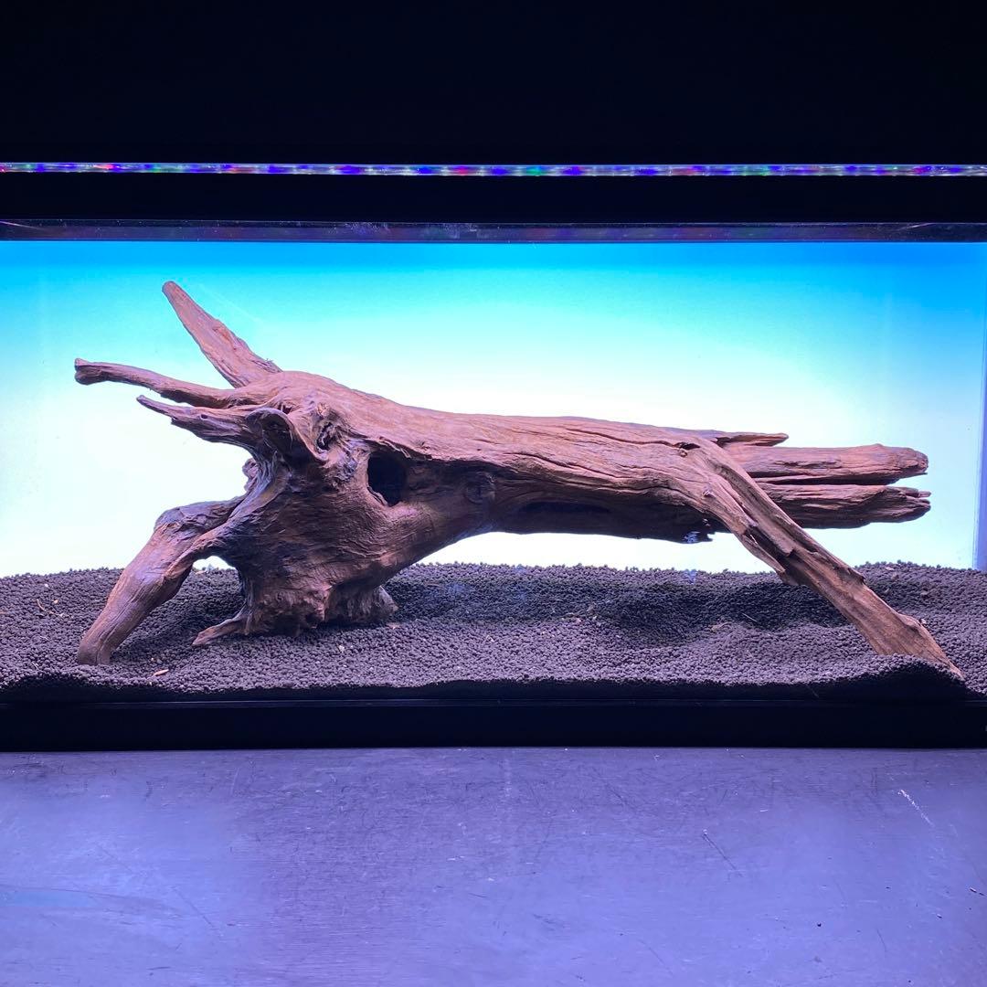 MRW-6567 特大自立赤系流木　1点物　自立流木　一点物90cm水槽用