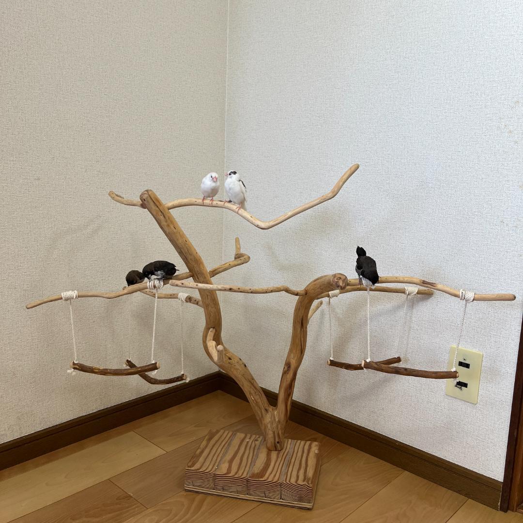 【小鳥用】ブランコ付くねくねバードアスレチック