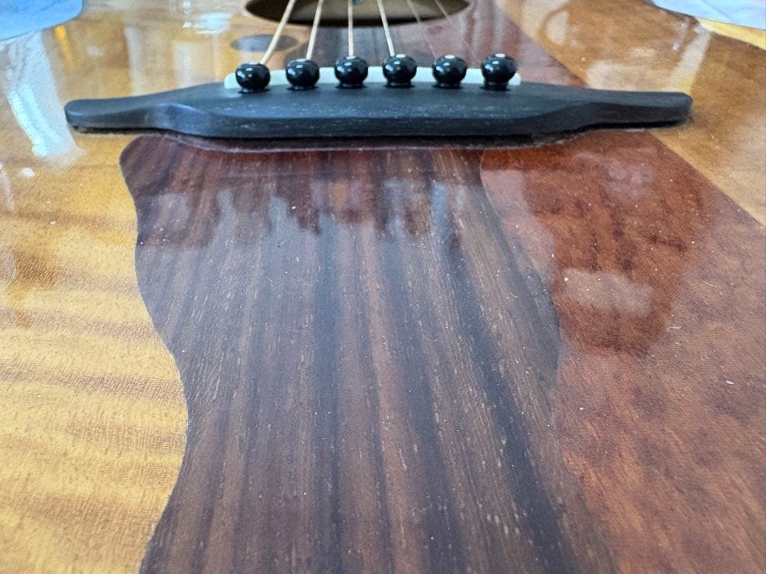 元新品8万円前後Luna Vista Eagle 6弦【ジャンク／修理ベース】