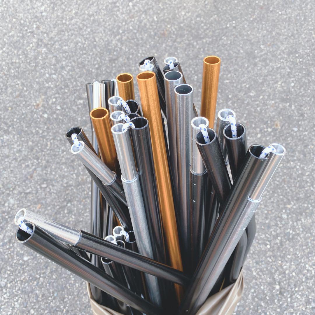 【美品】タラスブルバ キャタピラー2ルームシェルターBABY 2ルーム