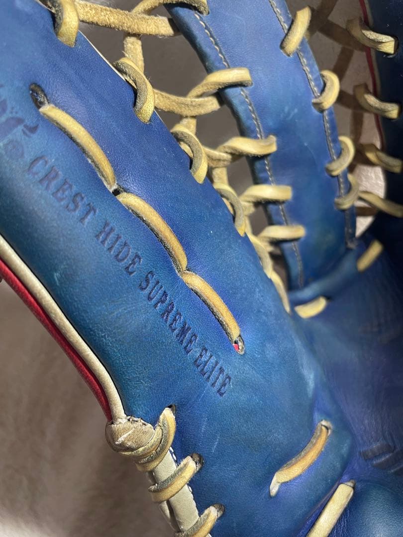 ミズノプロ　野球 硬式グローブ 名前有り