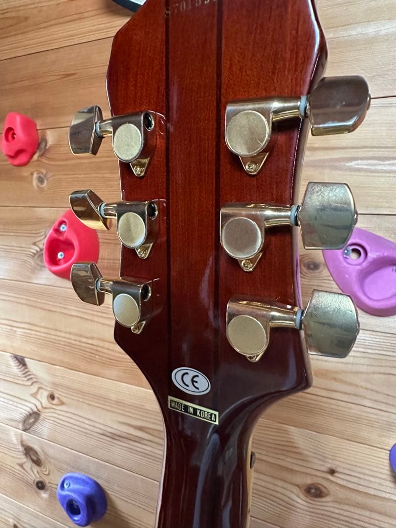 519rinrinpark ！Epiphone Sheraton