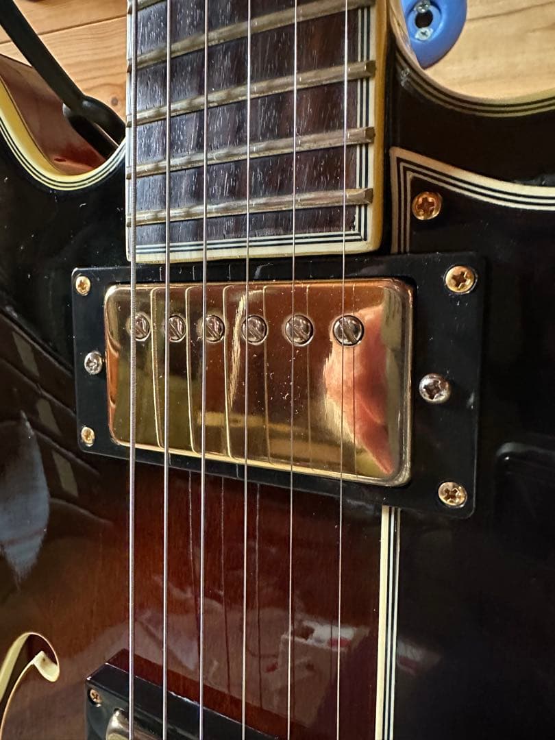 519rinrinpark ！Epiphone Sheraton