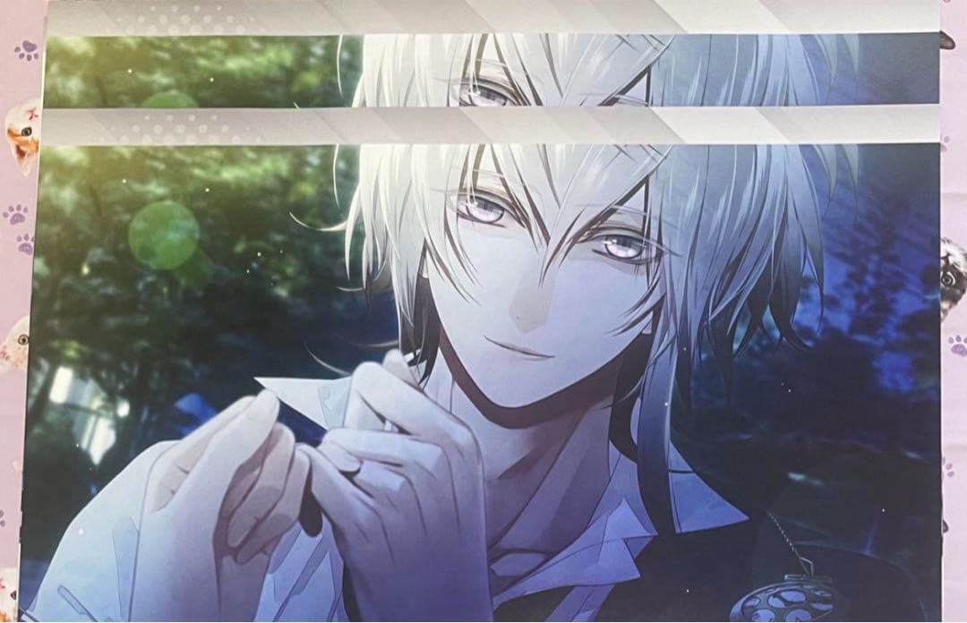 カラマリ ランチョン 岡崎 12枚 まとめ売り