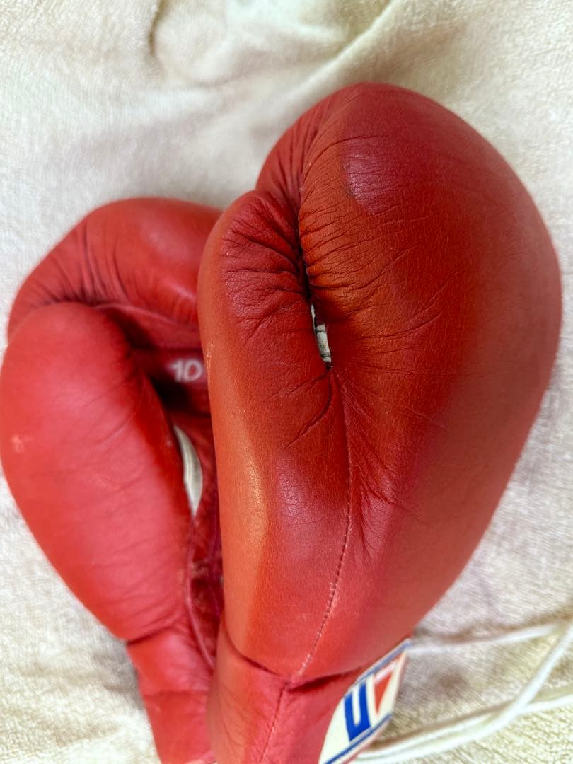 Winning ボクシンググローブ 10 oz 赤　ソフトタイプ