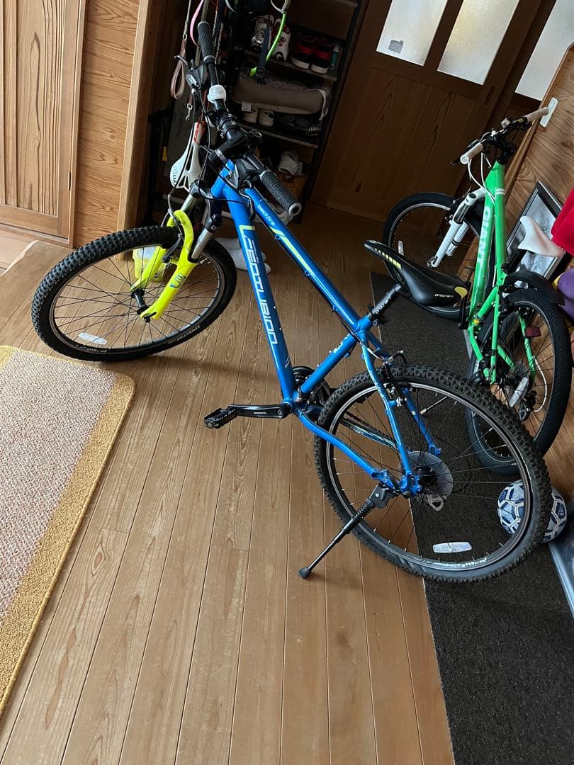 CENTURION 完全屋内保管 マウンテンバイク 41cm 佐世保市