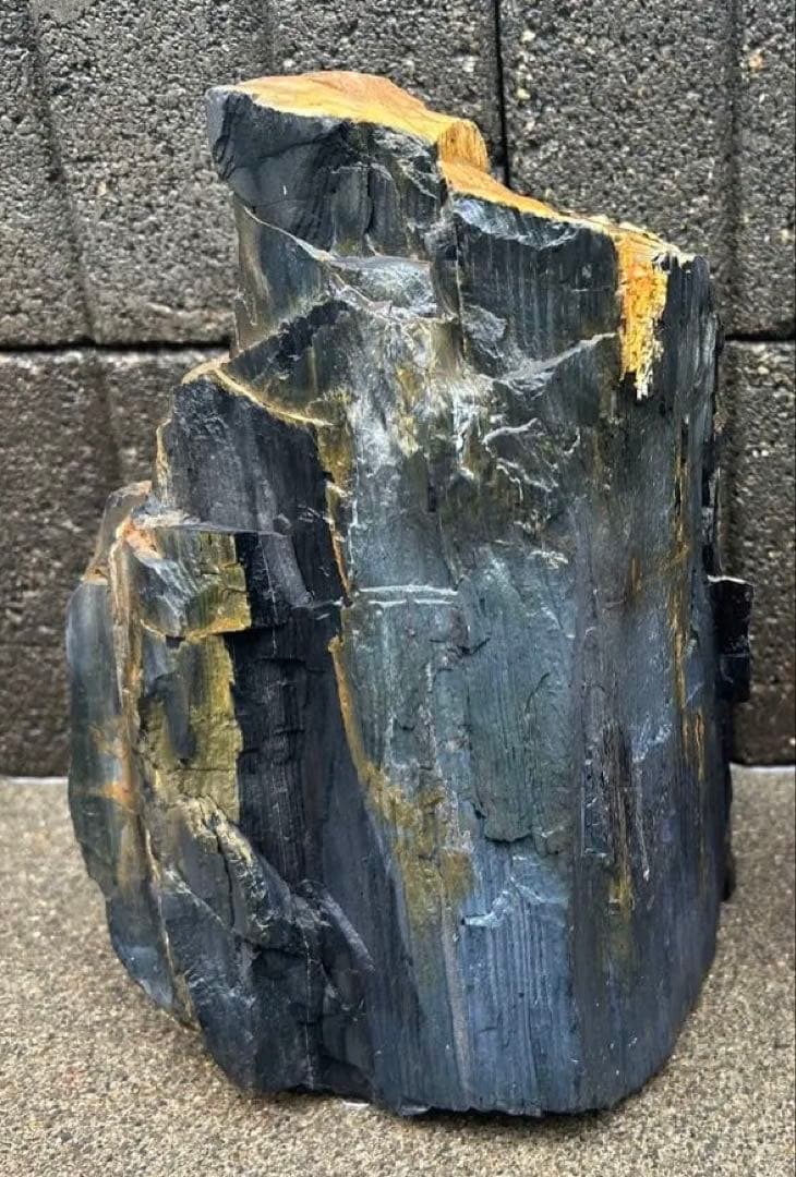 北海道 遠軽瀬戸瀬産 珪化木 5.4kg 特大 木化石 鑑賞石 置物 盆栽 水石