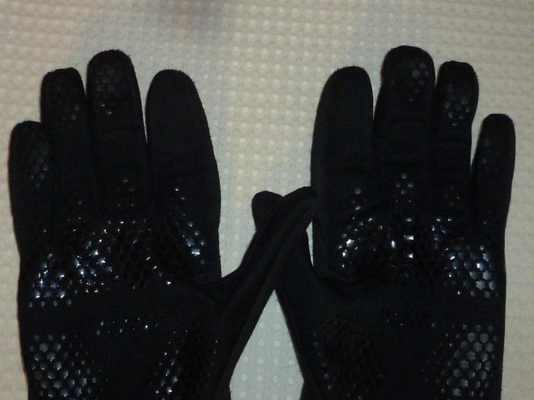 グリップスワニー GRIP SWANY グローブ TS-100A Bocco