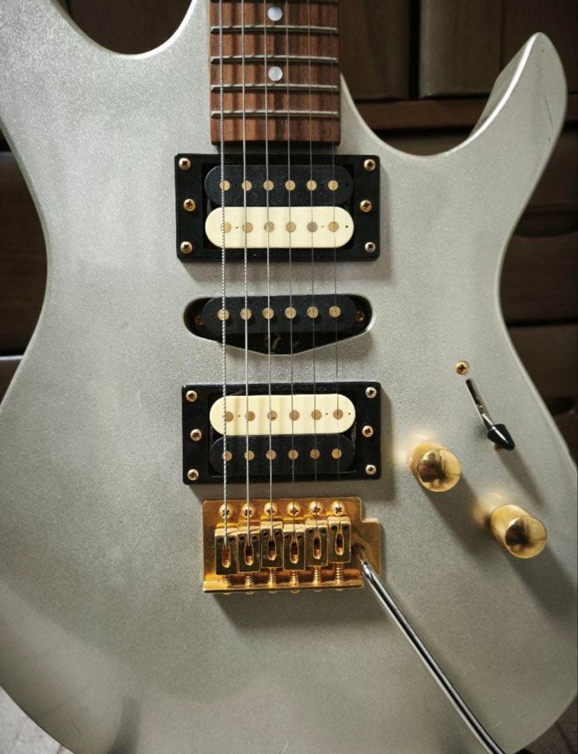 [soni]フジゲンエレキギター、ストラップ、ミニアンプ、シールド、アーム