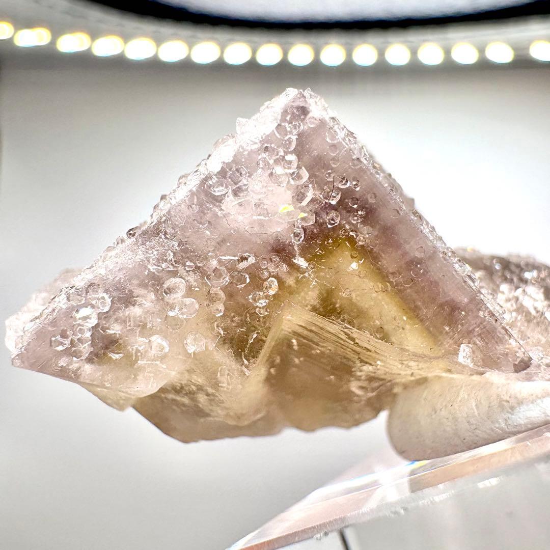 581 イギリス　シェリーツインズポケット　フローライト