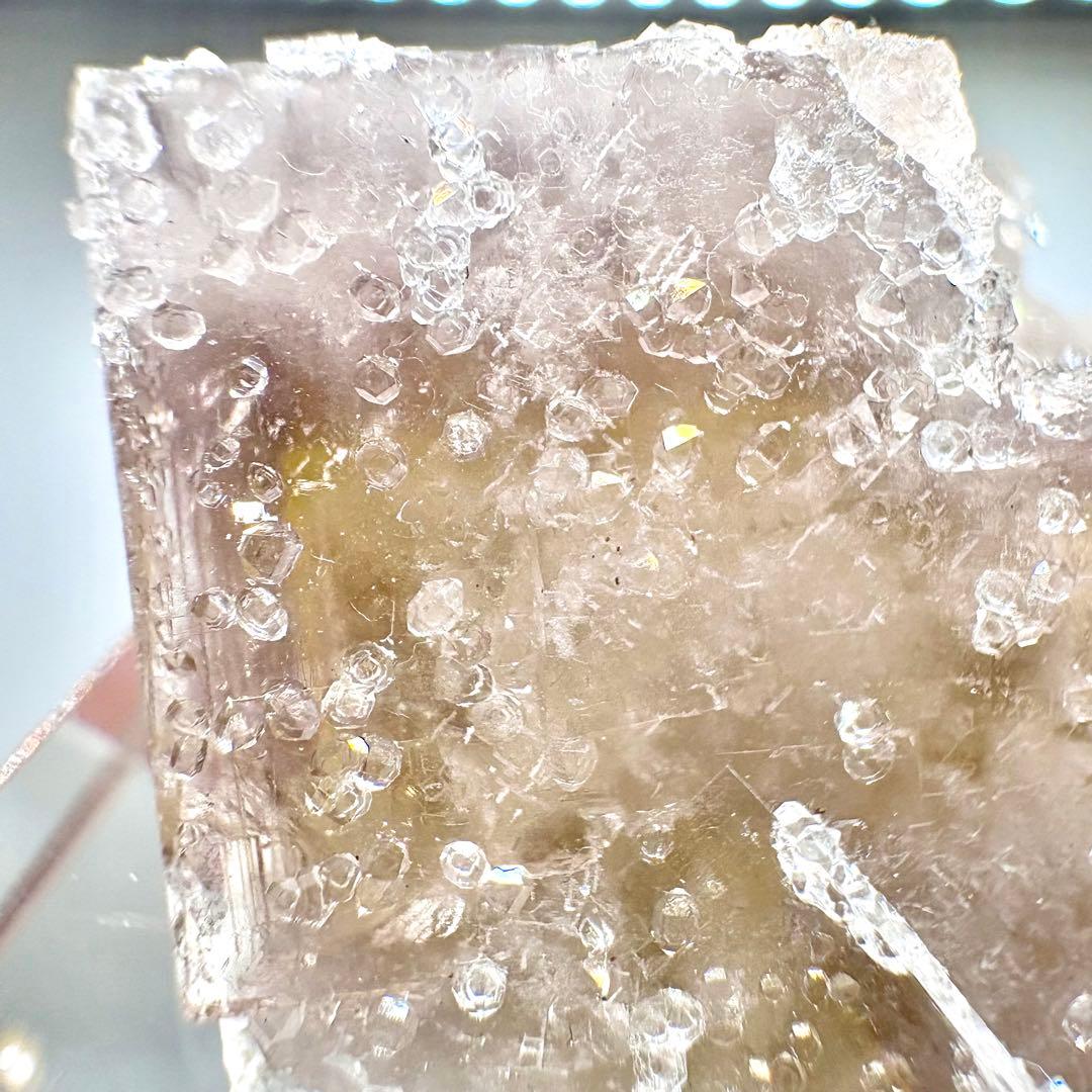 581 イギリス　シェリーツインズポケット　フローライト