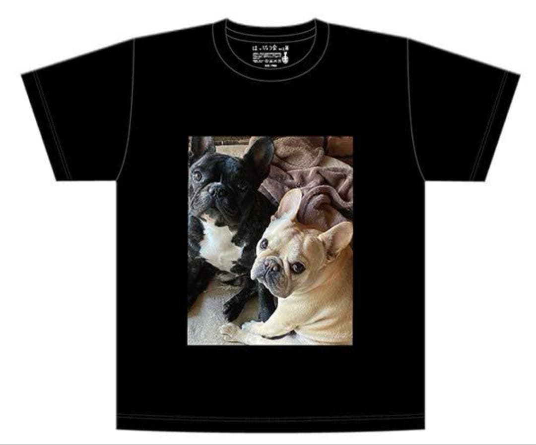 新品 草彅剛 ギター はっぴょう会 Tシャツ 会場数量限定 新しい地図 ヤンチェ