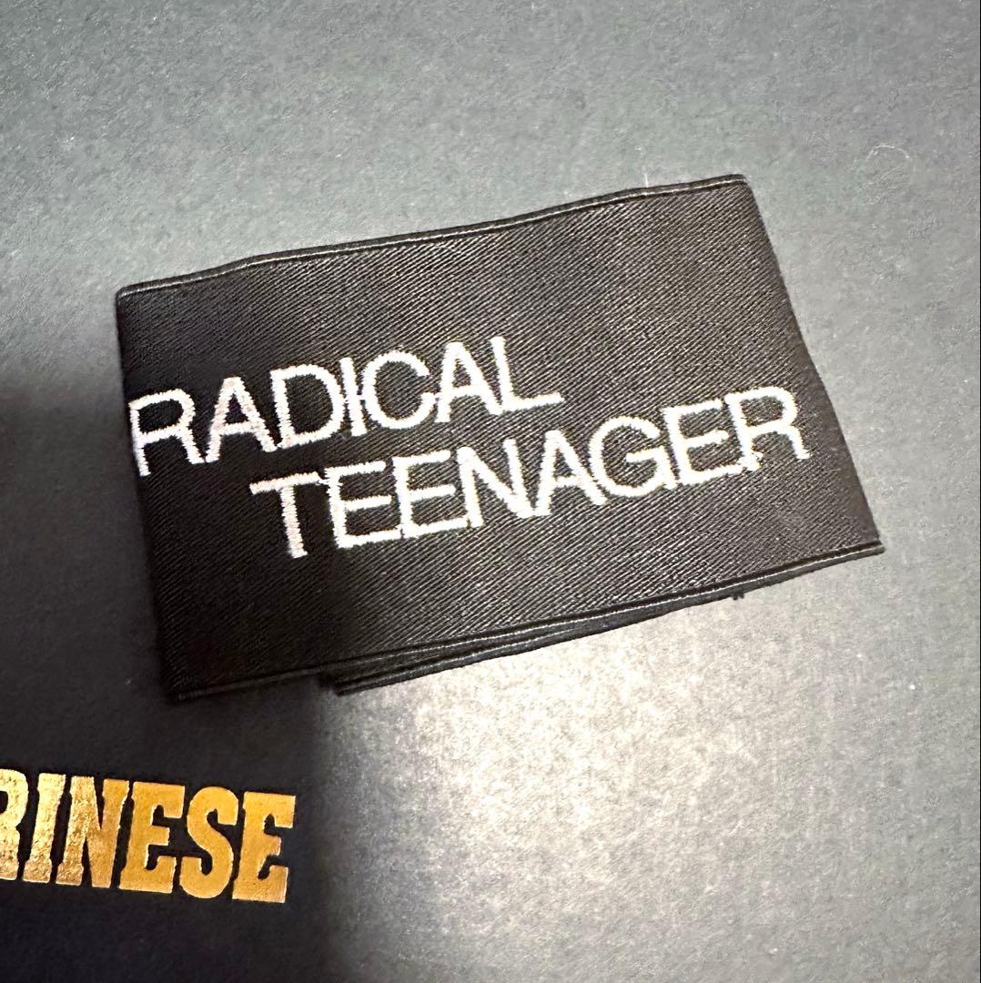 希少！★THE ALFEE★初代リストバンド★シルバー★