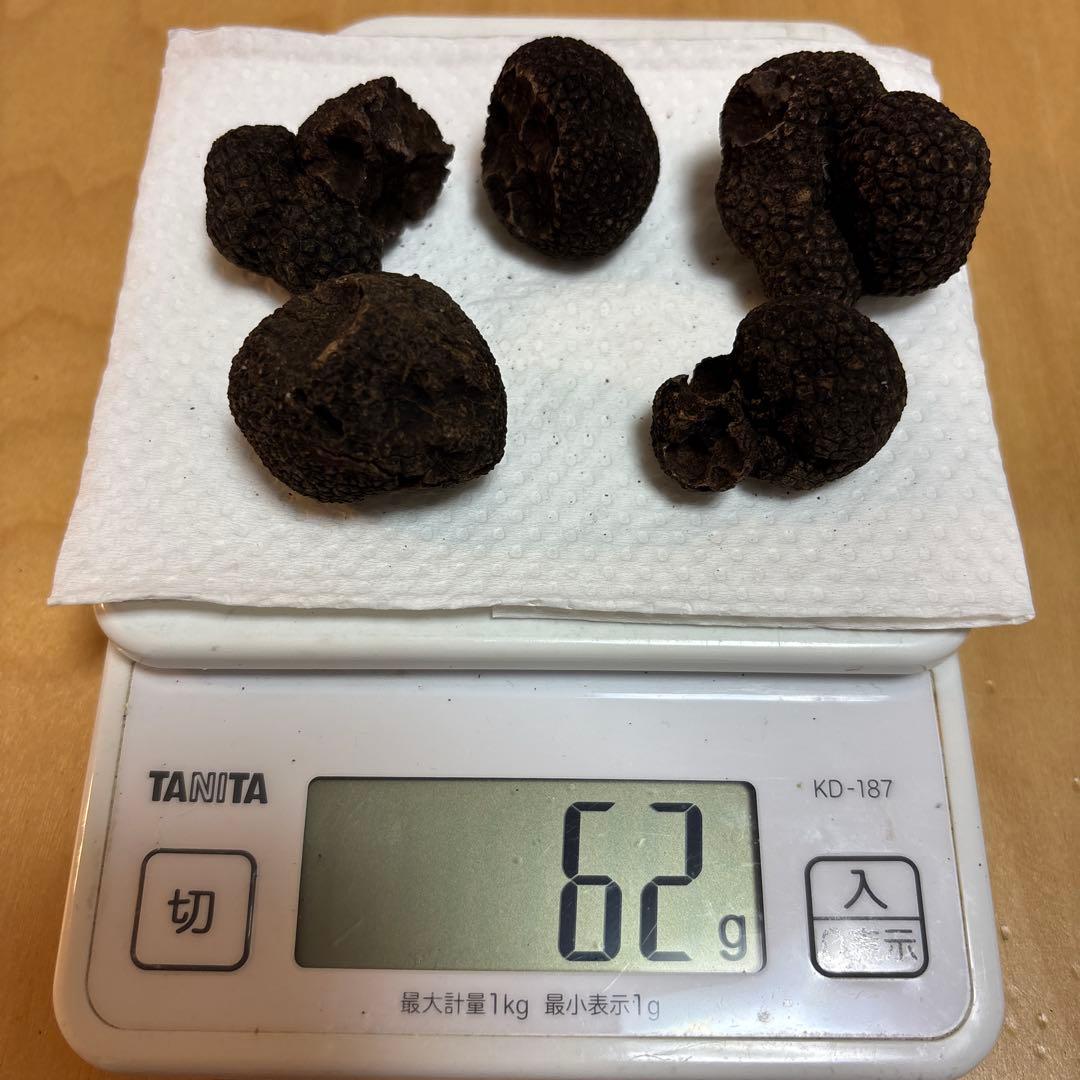 ⭐︎ミィ⭐︎ 神奈川県産　黒トリュフ　166g