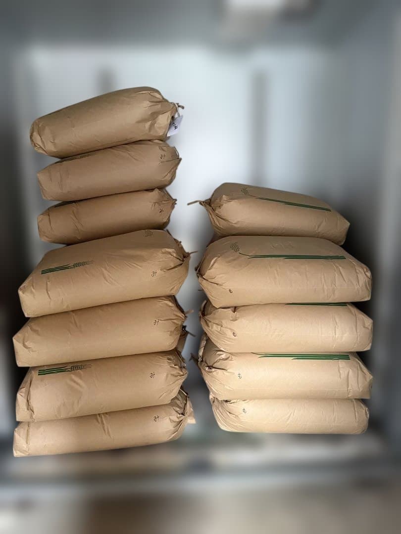 冷蔵庫保管　夢つくし10kg(令和7年9月収穫）