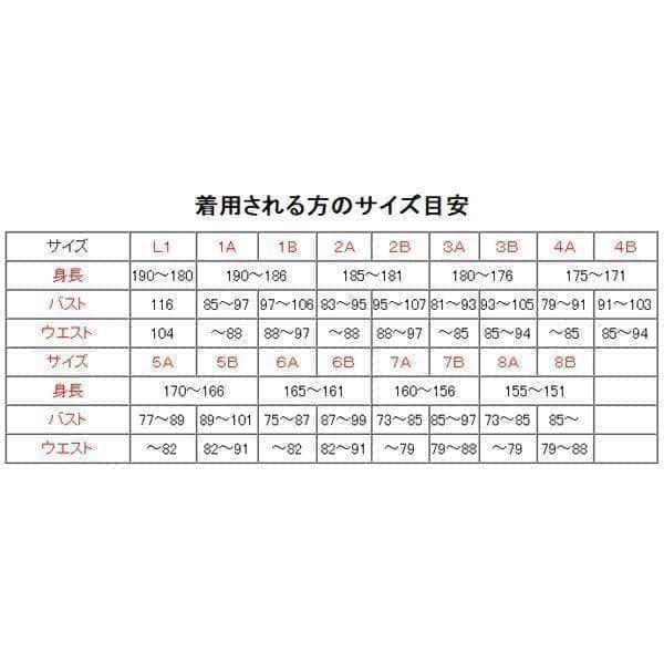 陸上自衛隊 リップストップ 迷彩服 　３Ａ