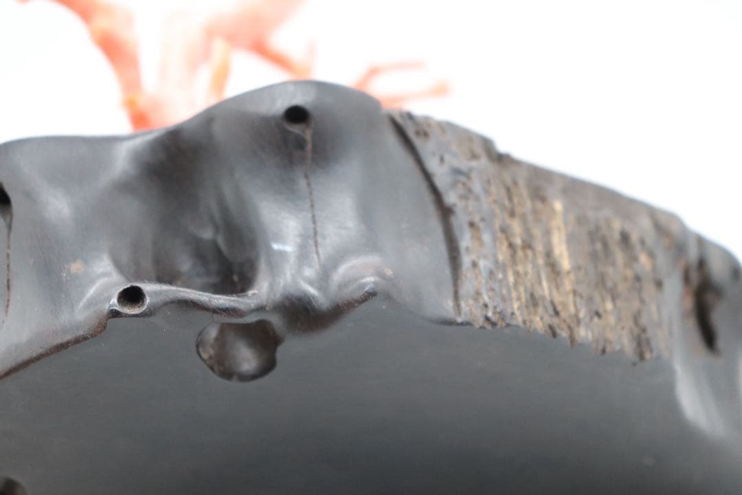 本珊瑚　黒柿台　桃色珊瑚　置物　960g 送料込み250731