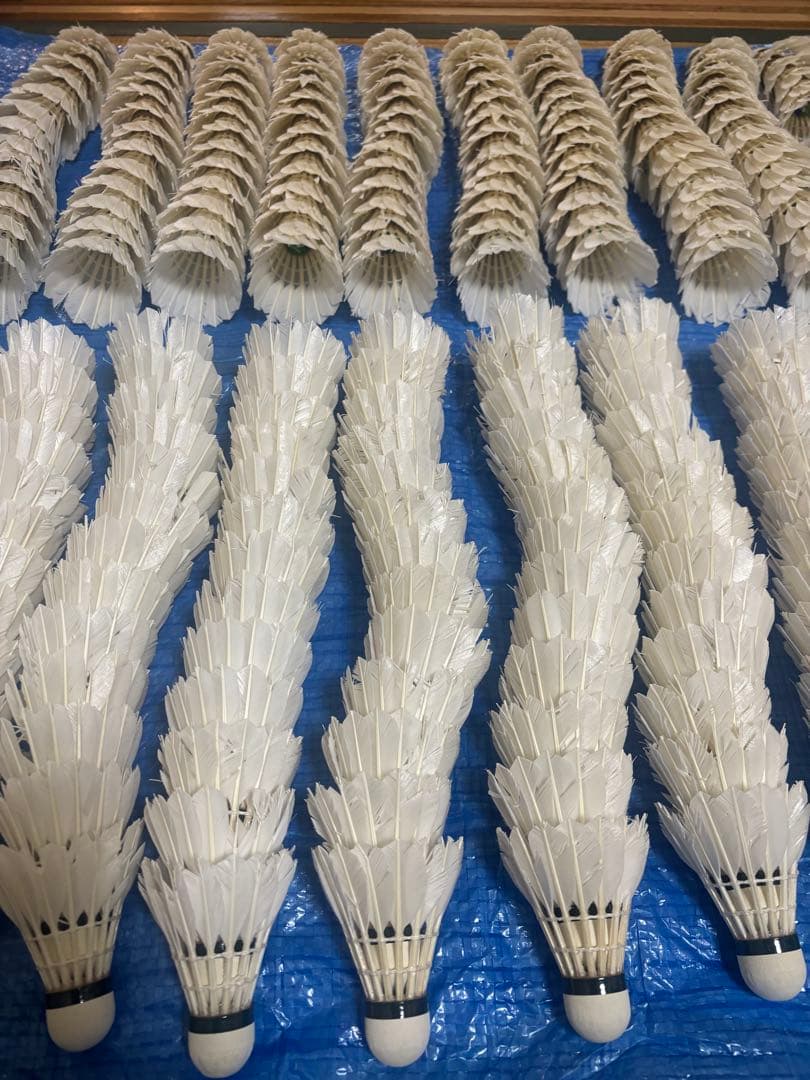 中古⭐︎ニューオフェシャルのみノック用シャトル⭐︎260球