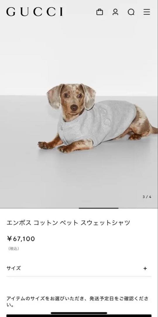 GUCCI エンボス コットン ペット スウェットシャツ