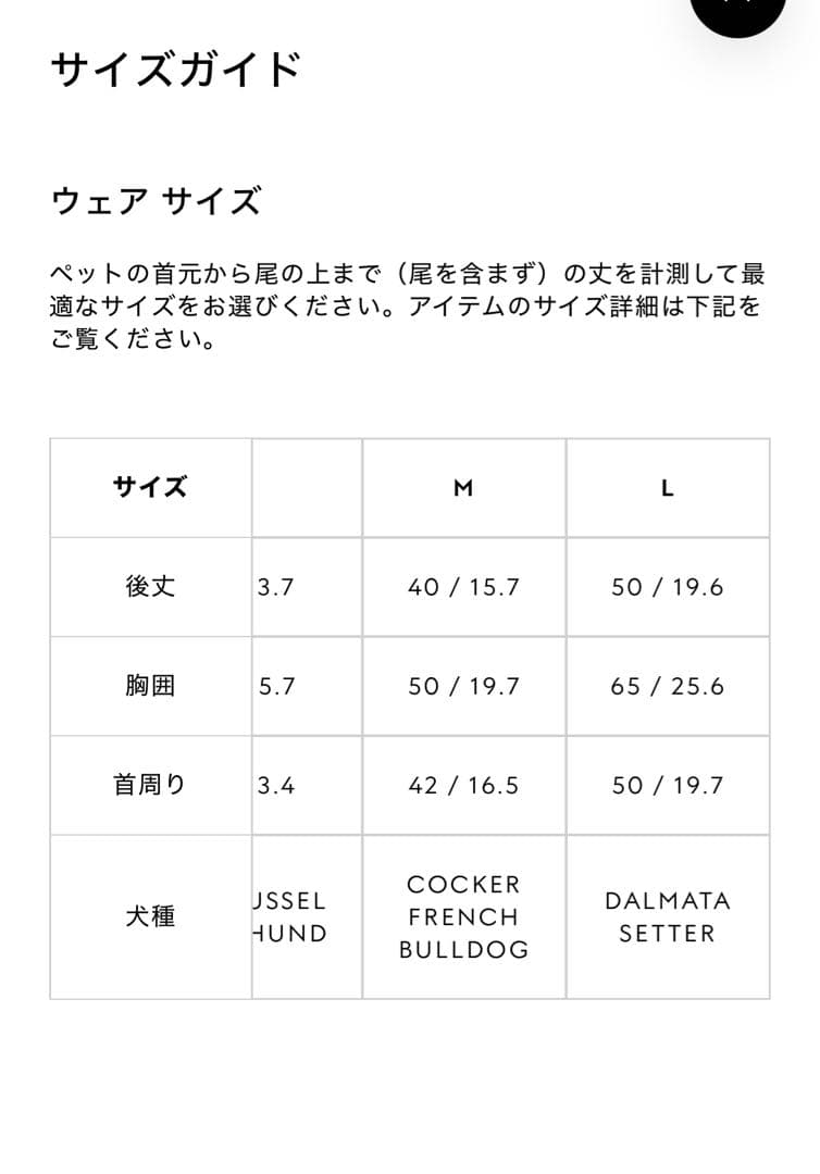 GUCCI エンボス コットン ペット スウェットシャツ