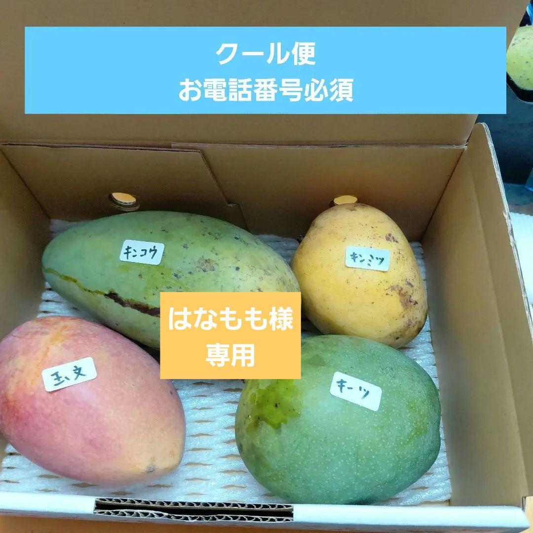 色々マンゴー食べ比べセット(きれいめ玉文入り)