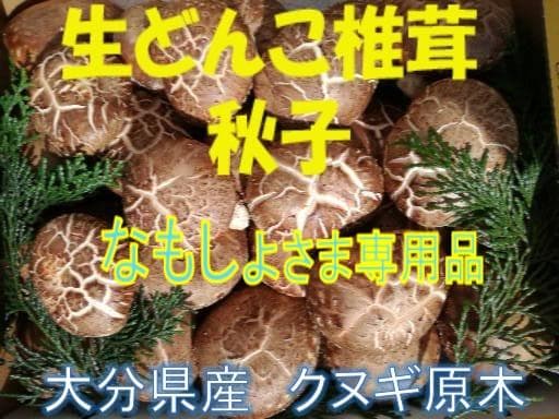 なもしょさまご予約専用 大分県特産 生どんこ椎茸「秋子」ダブル