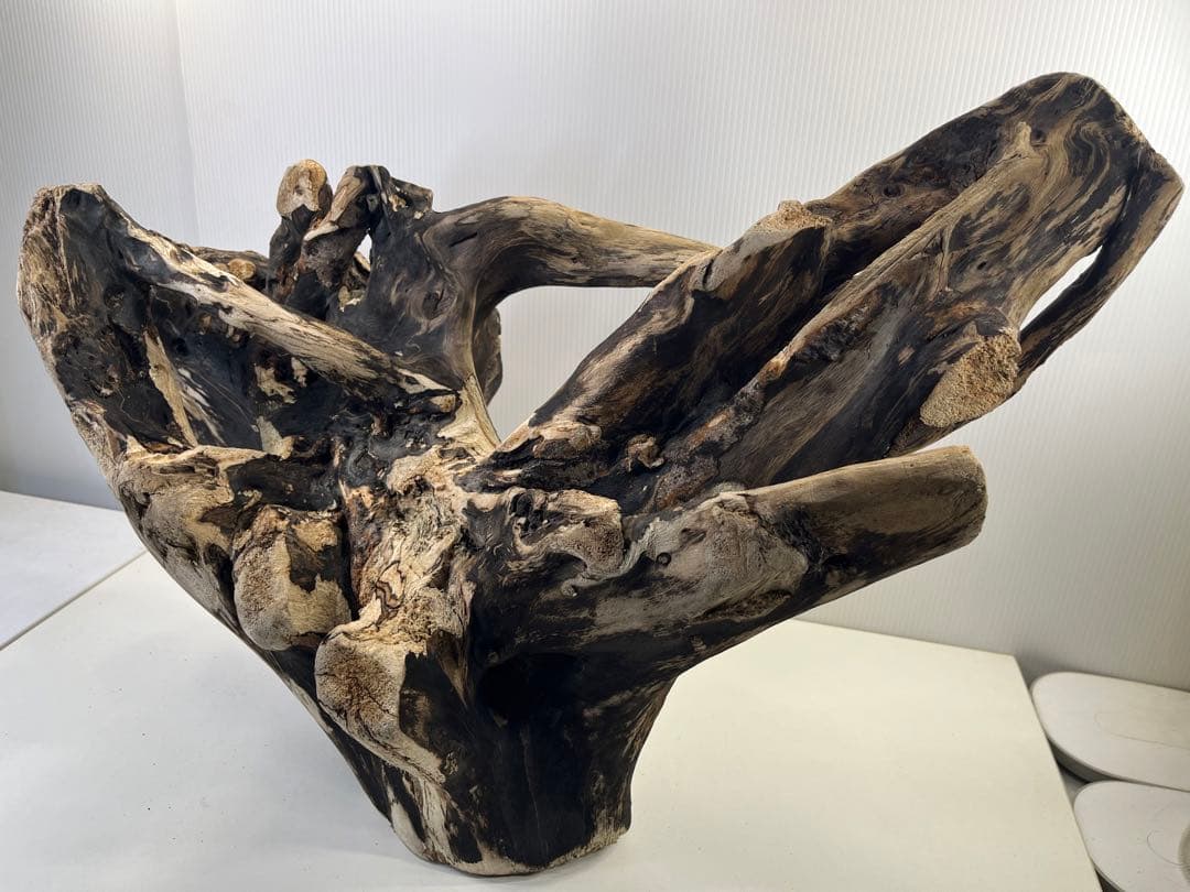 k90特大流木 アク抜き済み 爬虫類シェルター レイアウト用 登り木 インテリア