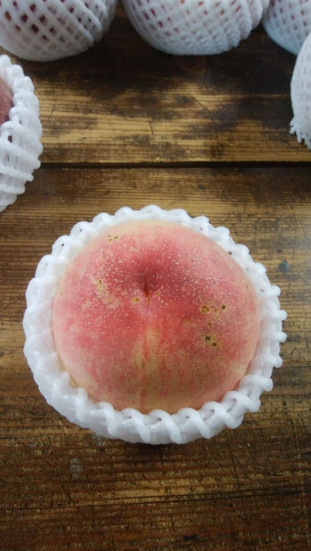 めるぽぽさん専用　特大　桃　さくら白桃　わけあり　10kg